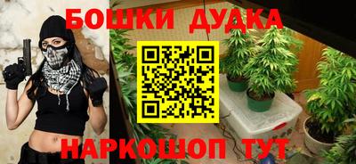 PSILOCYBIN Кингисепп