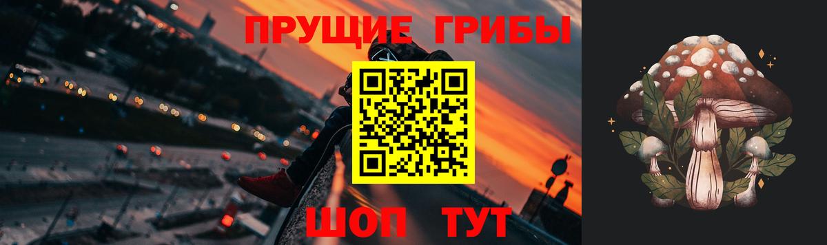 Красноуфимск  Псилоцибиновые грибы Psilocybe  Вход с VPN  Галлюциногенные грибы Magic Shrooms 
